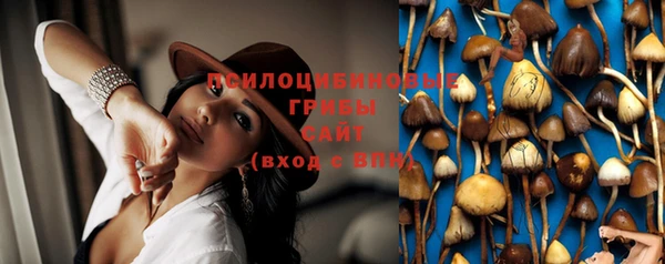 соль ск Коряжма
