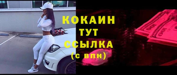 винт Костерёво