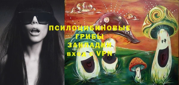 mdpv Козельск