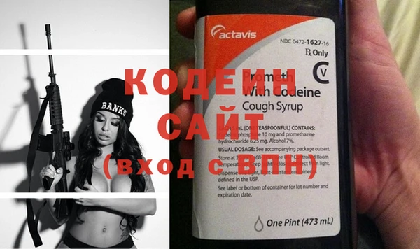шишки Кодинск