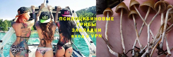 шишки Кодинск