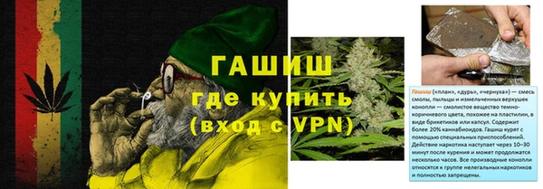 шишки Кодинск